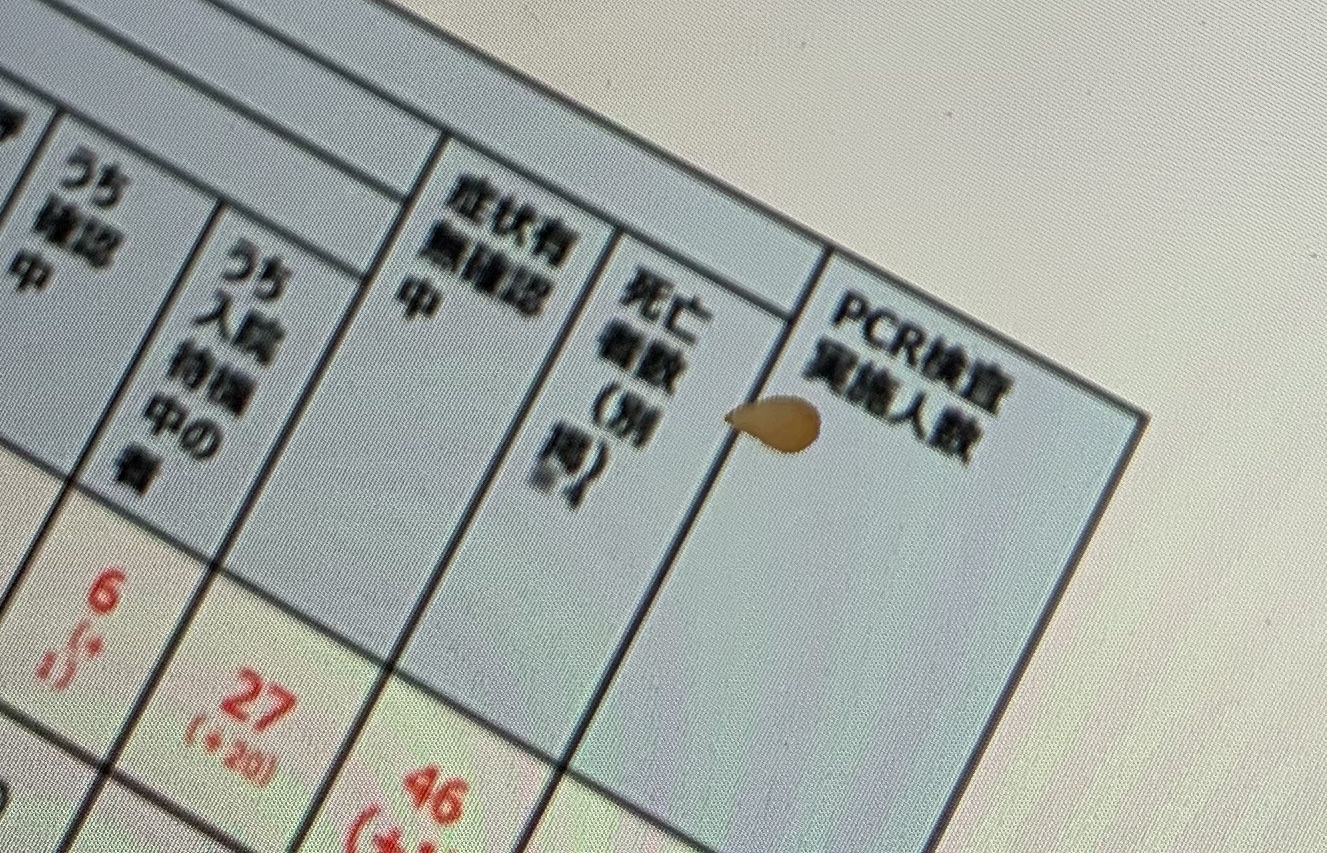 Japan's COVID-19 Reports - 140KBs of Unadulterated Incompetence